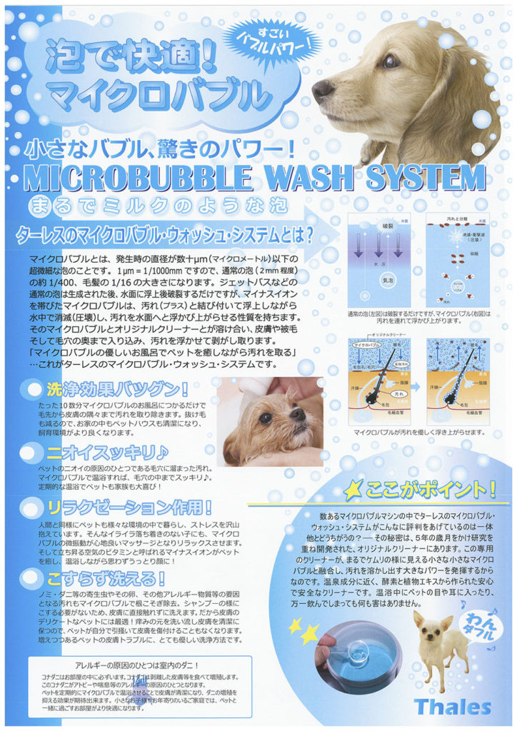 マイクロバブル温浴 Pooch 岡谷市 諏訪市 辰野町での犬 猫のトリミング ペットホテル